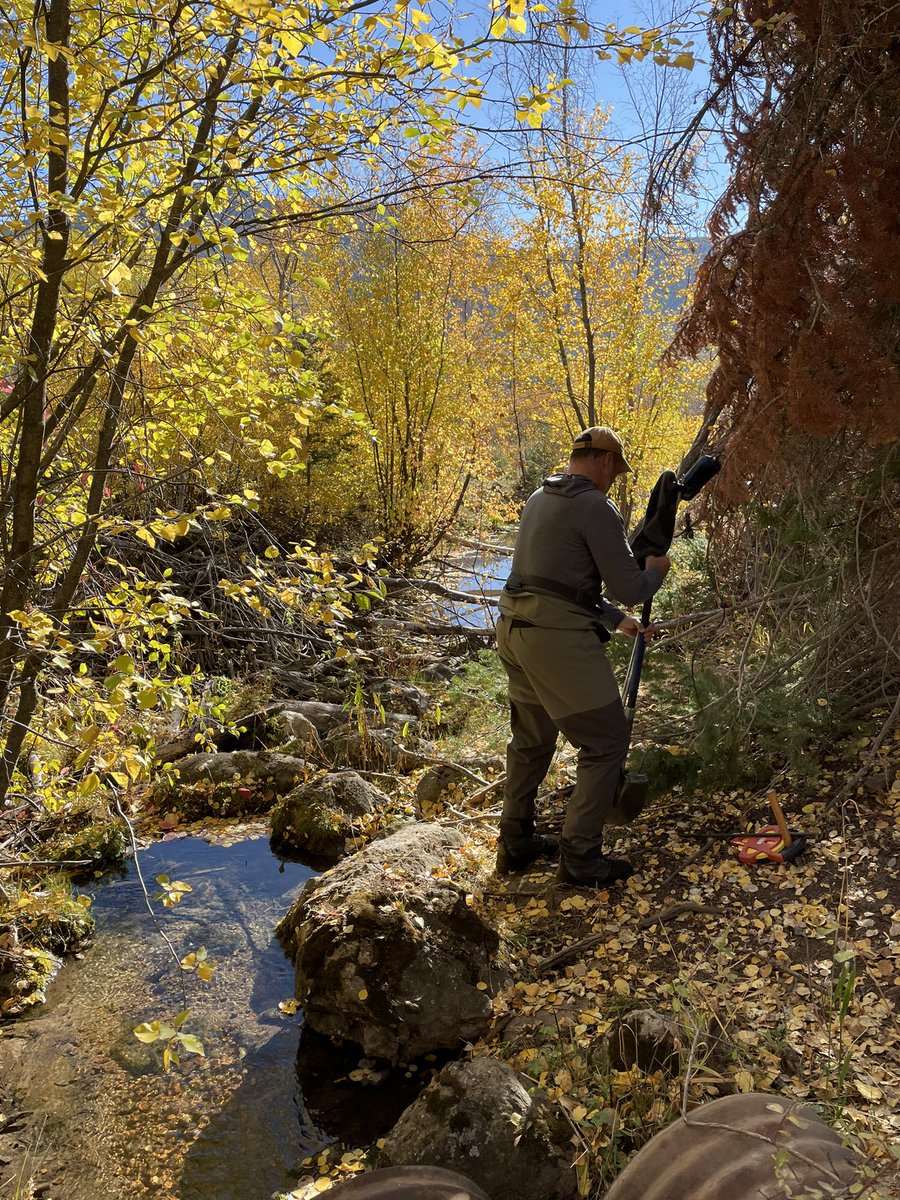 Pin Shuai tweet media