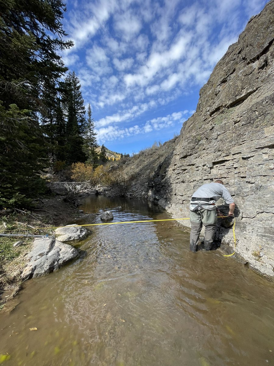 Pin Shuai tweet media