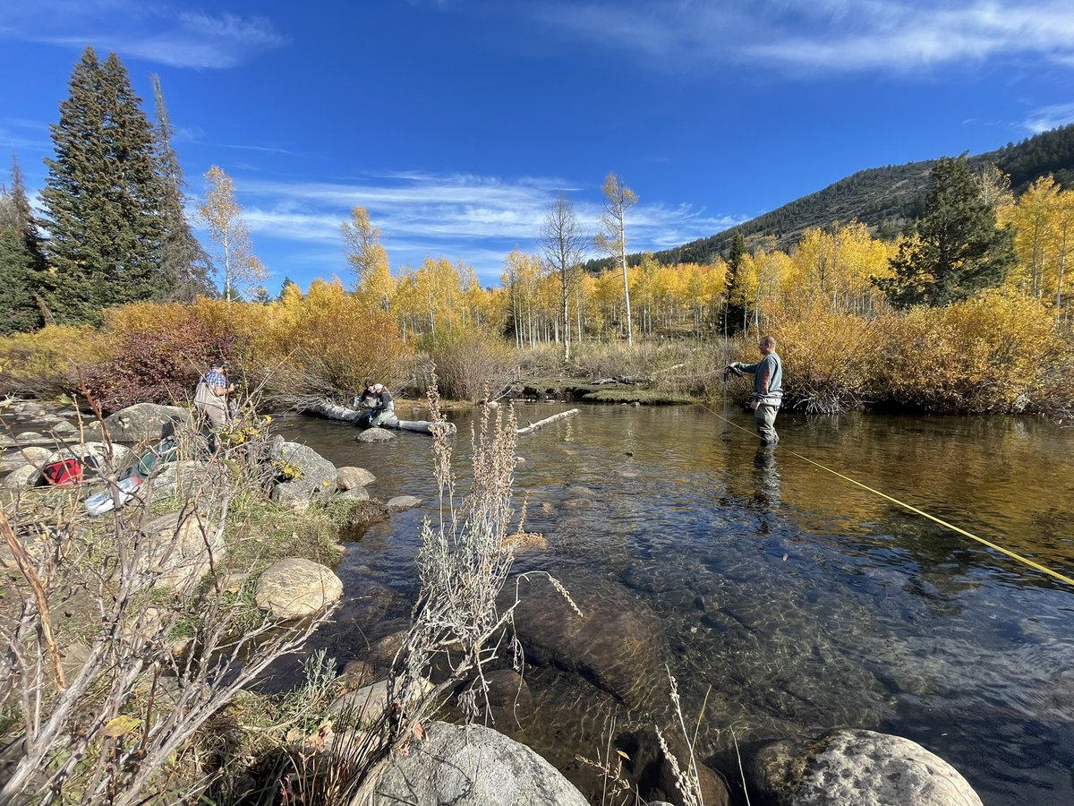 Pin Shuai tweet media