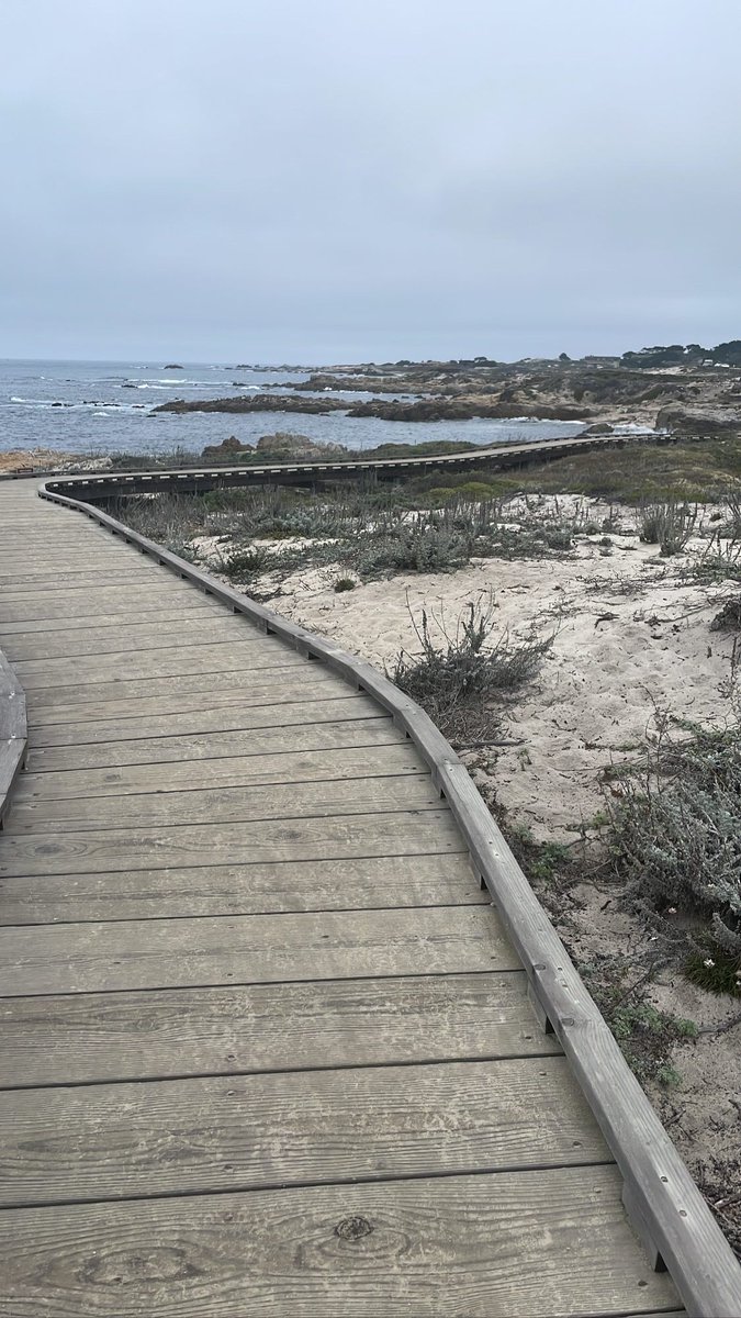 gabllam's tweet photo. First meeting of the 22-23 cohort in Asilomar. @epfp_iel #EPFPfellows #edpolicy #equityinpolicy https://t.co/58dcXcLAeg