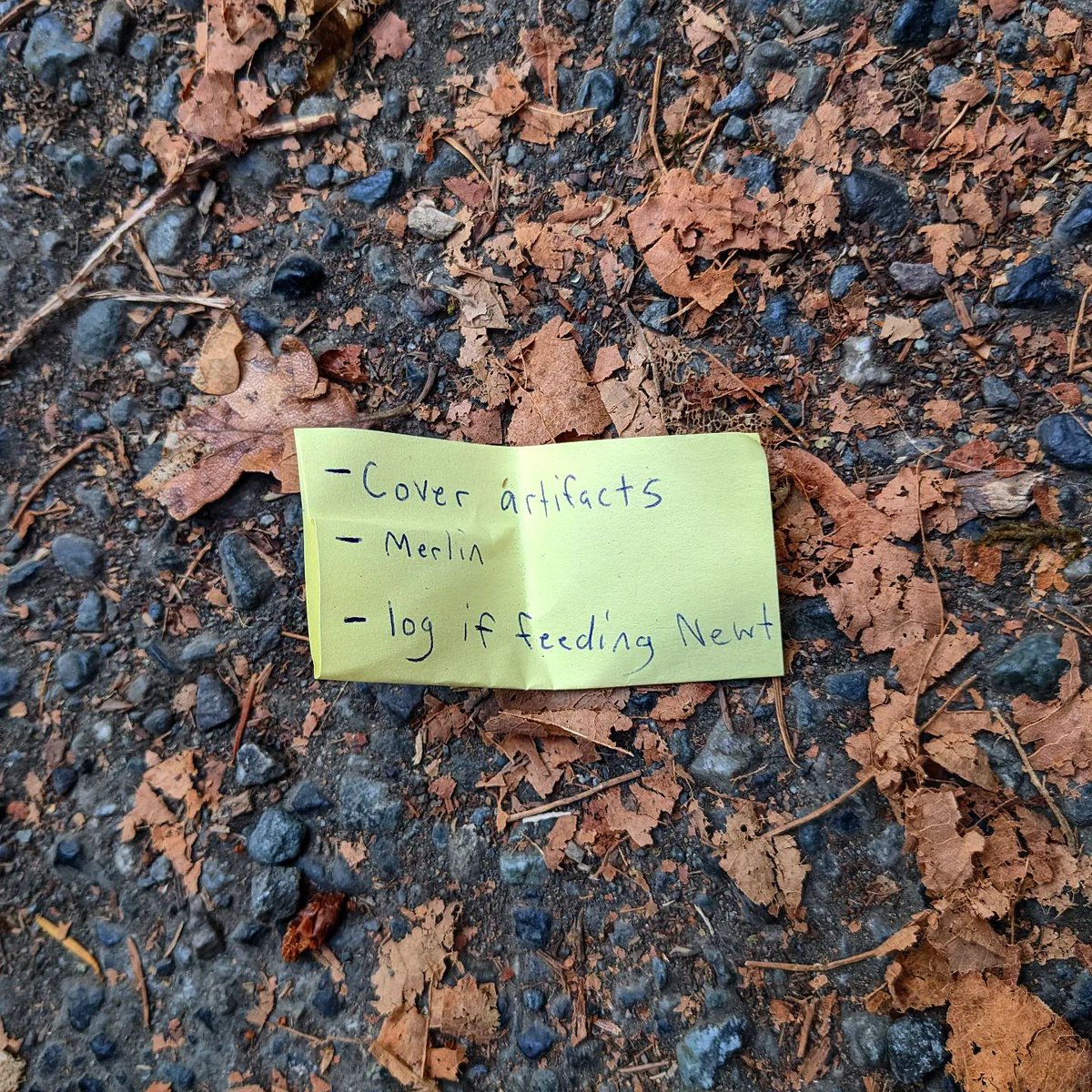 Tasimmet's tweet photo. I'm so intrigued by this note I found!!
Everything about it is so fascinating. Artifacts? Merlin? Newt? Tell me more! 😮 https://t.co/pBZg8pzfrL