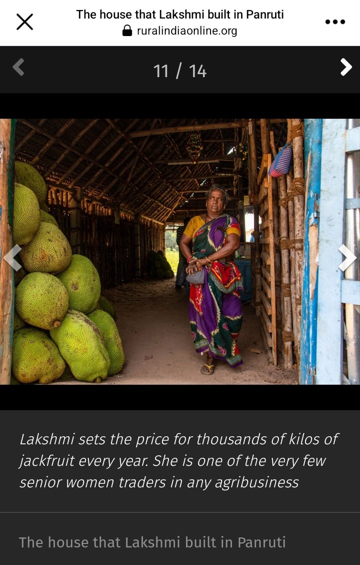 AparnaKarthi's tweet photo. Pls meet: A.Lakshmi, 65, one of the few senior women vyaparis in agribusiness. Listening to her story is a bit like eating jackfruit – you don’t expect to find such a sweetness. And when you do, it is so memorable.
My story:  https://t.co/H52A5BrIDA
Pics @chempkumar &amp; me https://t.co/DHCbF9OL1b