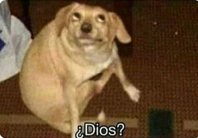 fer warner (@lovessfalcone) on Twitter photo 