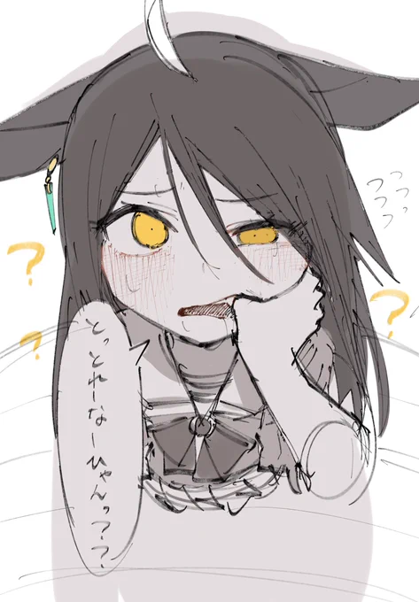 お気に入りの 