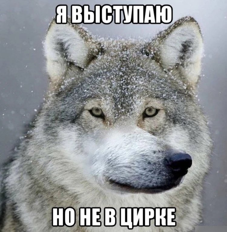 GrafJiraf's tweet photo. @BADBADBARS Ауф https://t.co/EBu4exwNNH