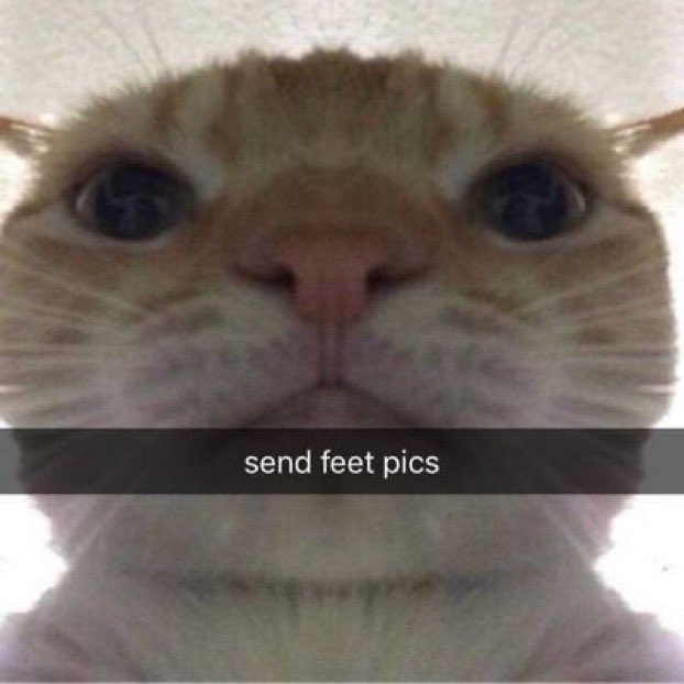 #HouseOfTheDragonHBO #hotd 
Larys, knowing the Queen is in his debt for unknowingly being complicit in the murder of his family and who can ask for anything he wants: