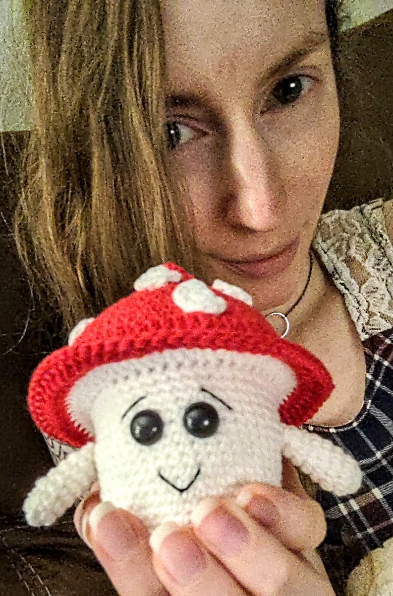 alienzygote's tweet photo. I made this buddy! 
#crochet #amigurumi #mushroom https://t.co/5cNTs5Kwjy