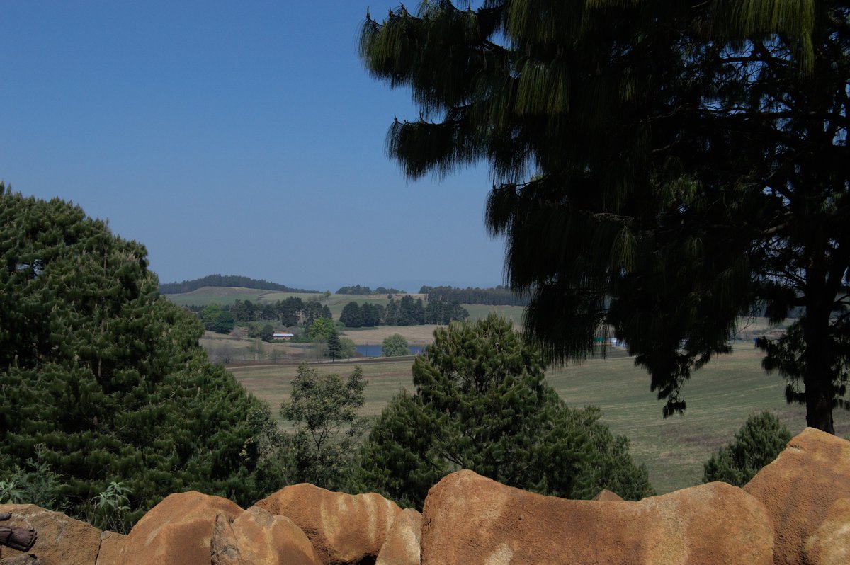 EstateWindspur's tweet photo. Nature at Windspur
https://t.co/3dByzKHLu9
Contact : Ian Dickson | Property Developer E | ianspico@gmail.com 
M | +27 (0)79 527 1344 https://t.co/yfJl5pNCrM