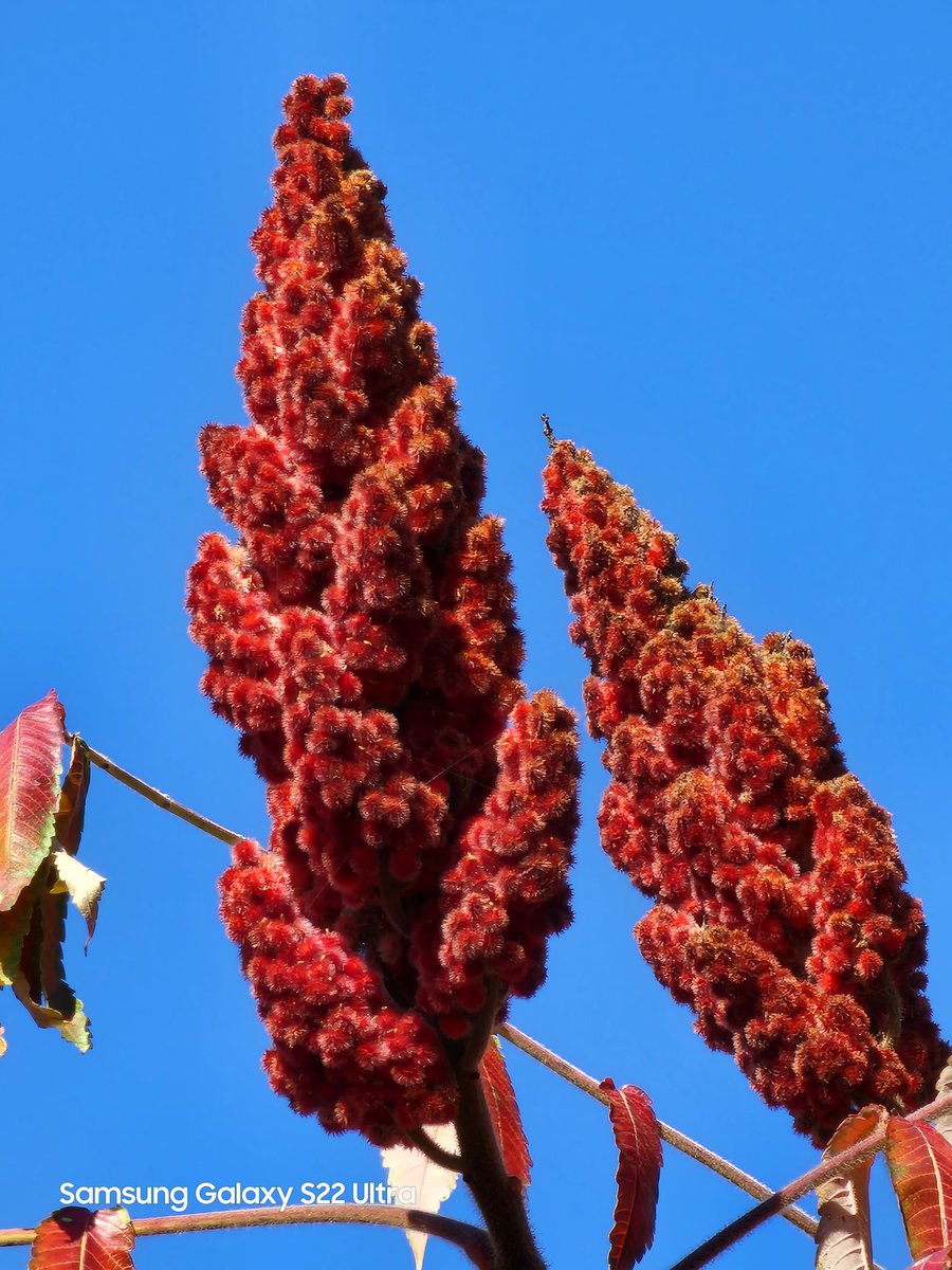 ice-universe-on-twitter-3x-10x-20x-10x