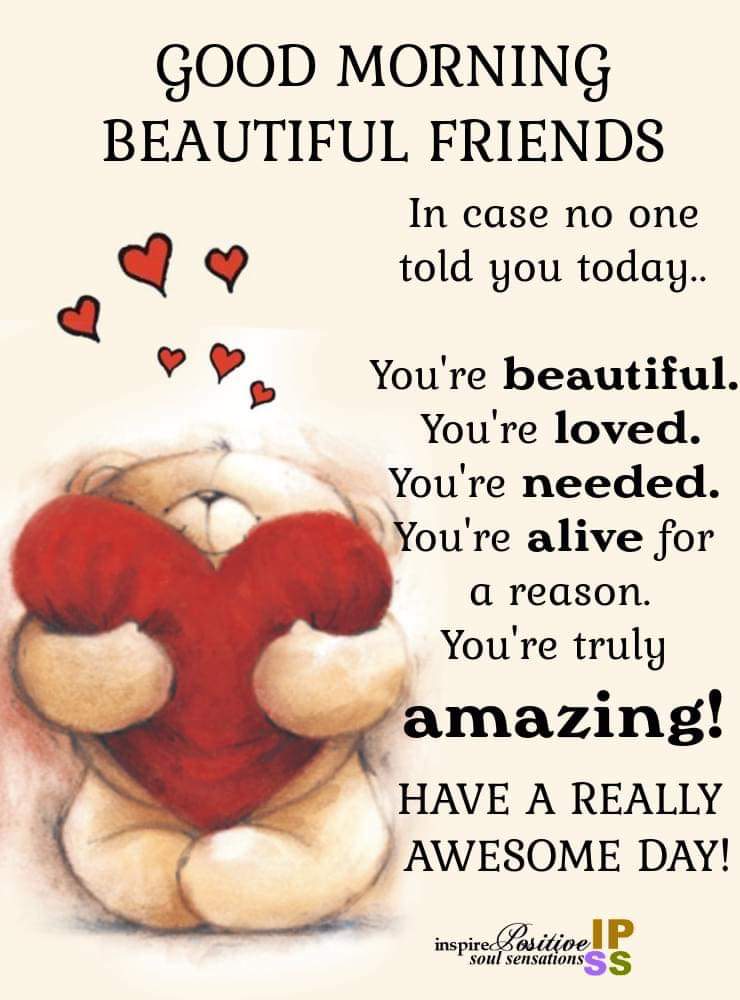 centre_haven's tweet photo. Good Morning.  Happy Monday.  Hope you have a lovely day. 💜 https://t.co/Rr4r4S4flP