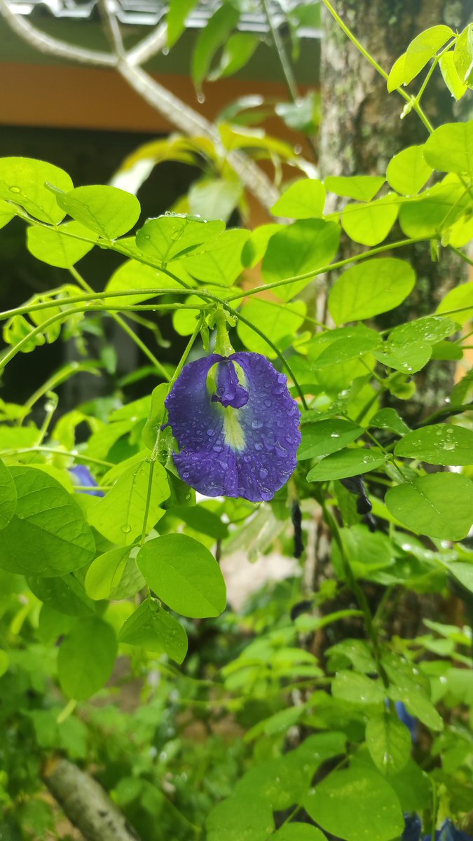 Have a great Mondaaaay faaaamsssss
Let's gooo💜💜💜💜