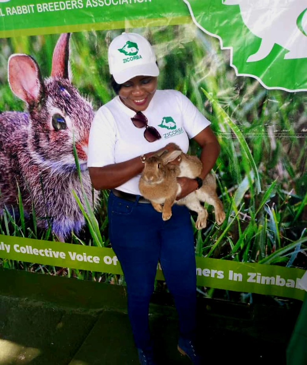 RabbitZimbabwe's tweet photo. Monday Motivational vibes ✨️ 

"When you have a dream, you have to grab it and and never let go."
Carol Burnett

#zicorba #letsmakezicorbagreat #rabbitfarming #healthymeat https://t.co/1JWNR3uXKV