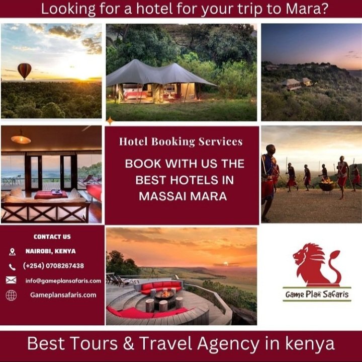 Introducing Angama mara hotel.👀
A luxury hotel located in the mara with a view to kill for
This is one of our main hotel partners and we can hook you up with good prices 😎😎

Call us to get started +254 708267 438
.
.
.
  #africansafari #gamedrives #natureaddict #bushwalks