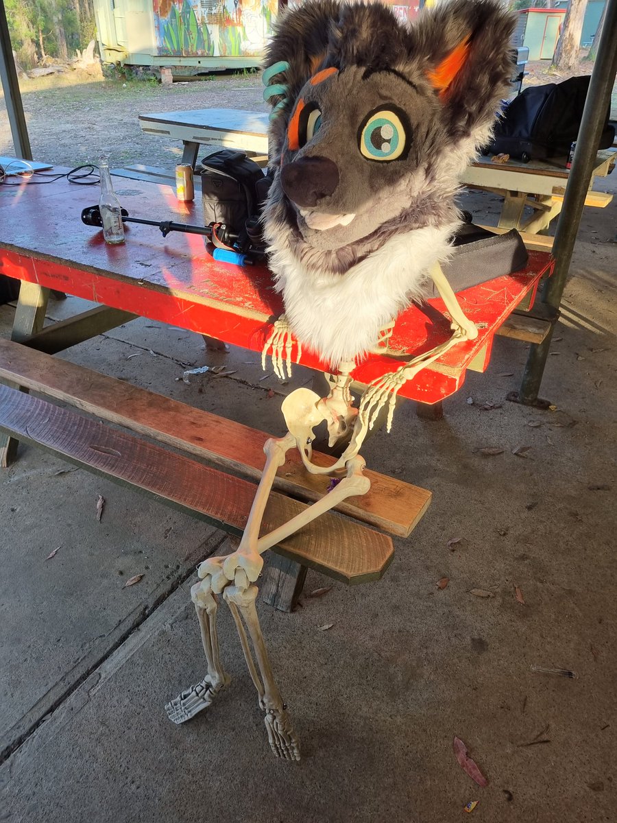 CruiseTheDingo's tweet photo. Twinks be like 🦴 https://t.co/xAO3DGLVCn