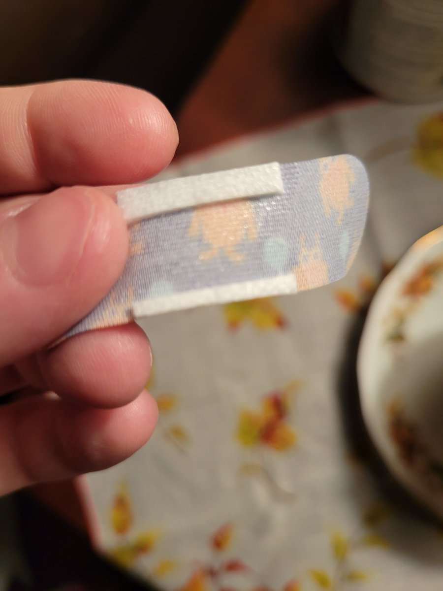 Bryce Kelly 😎🏖🛶☀️ tweet media