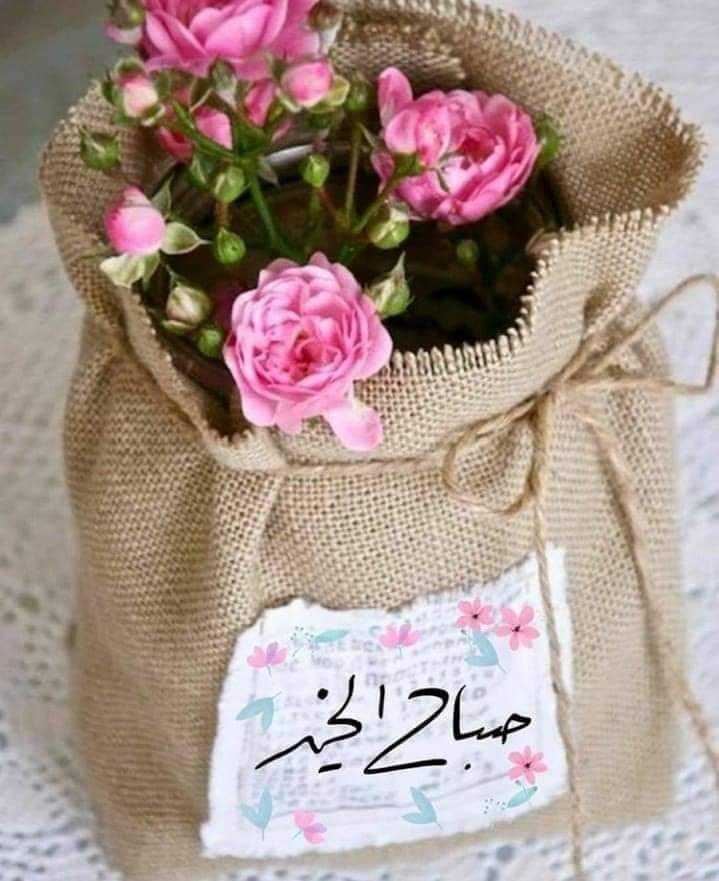 الڪلمات الطيّبة هي مسكّنات للنفــوس المتألمـة فلا تبخـل بها 
{ وَهُـدُوا إِلَى الطَّيِّـبِ مِـنَ الْـقَـوْلِ }
فأنت لا تعـرف شيئـاً عـن أحـد 
ضع هذه الفڪره في رأسـك.. لا تعـرف لماذا يغشاهم الهدوء، ولا لماذا يبتسمون أو يبڪون فڪن بقلبك بلســم يطيـب بقربـه الجلـوس.. 💜