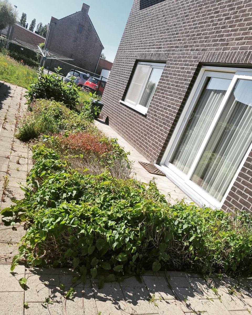 HovenierB's tweet photo. Uitgraven van plantvakken, leggen worteldoek en opvullen met Franse dolemiet #workhardplayhard #dehovenier https://t.co/ZirVnDtXJY