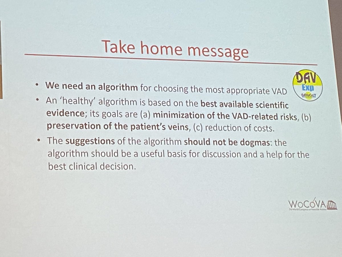 Virginia Lee tweet media