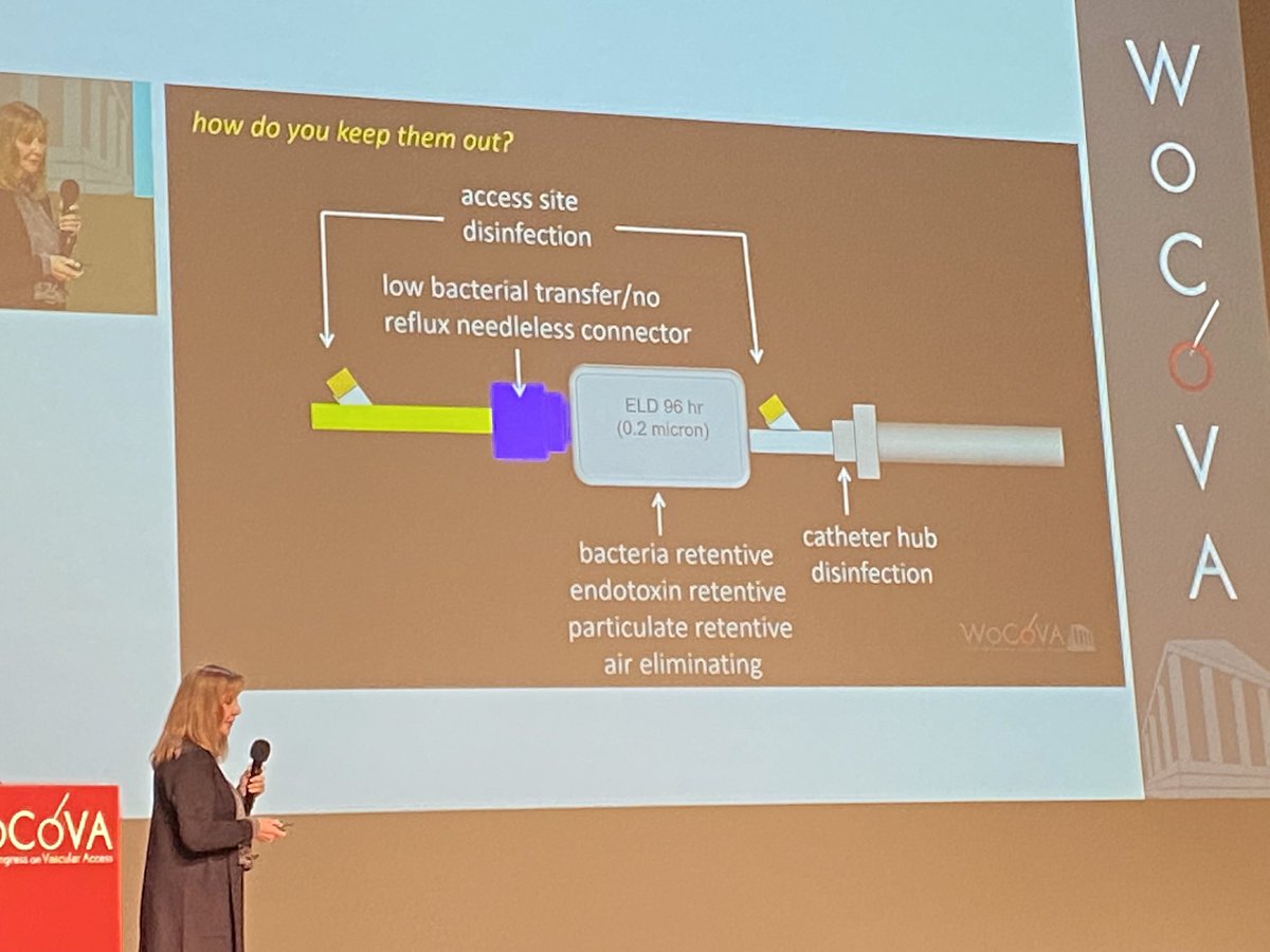 Virginia Lee tweet media