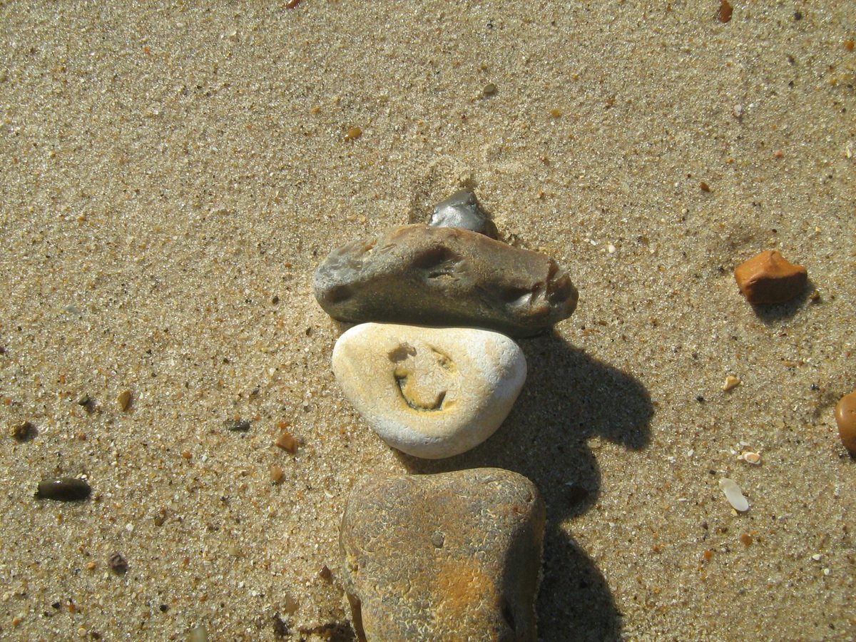 jonnyald's tweet photo. down at Felixstowe beach #sunny #greattimes #warmsea #swimmer #suffolk #coast #shipworm #driftwood #artprojects https://t.co/FjBYwh2o8g