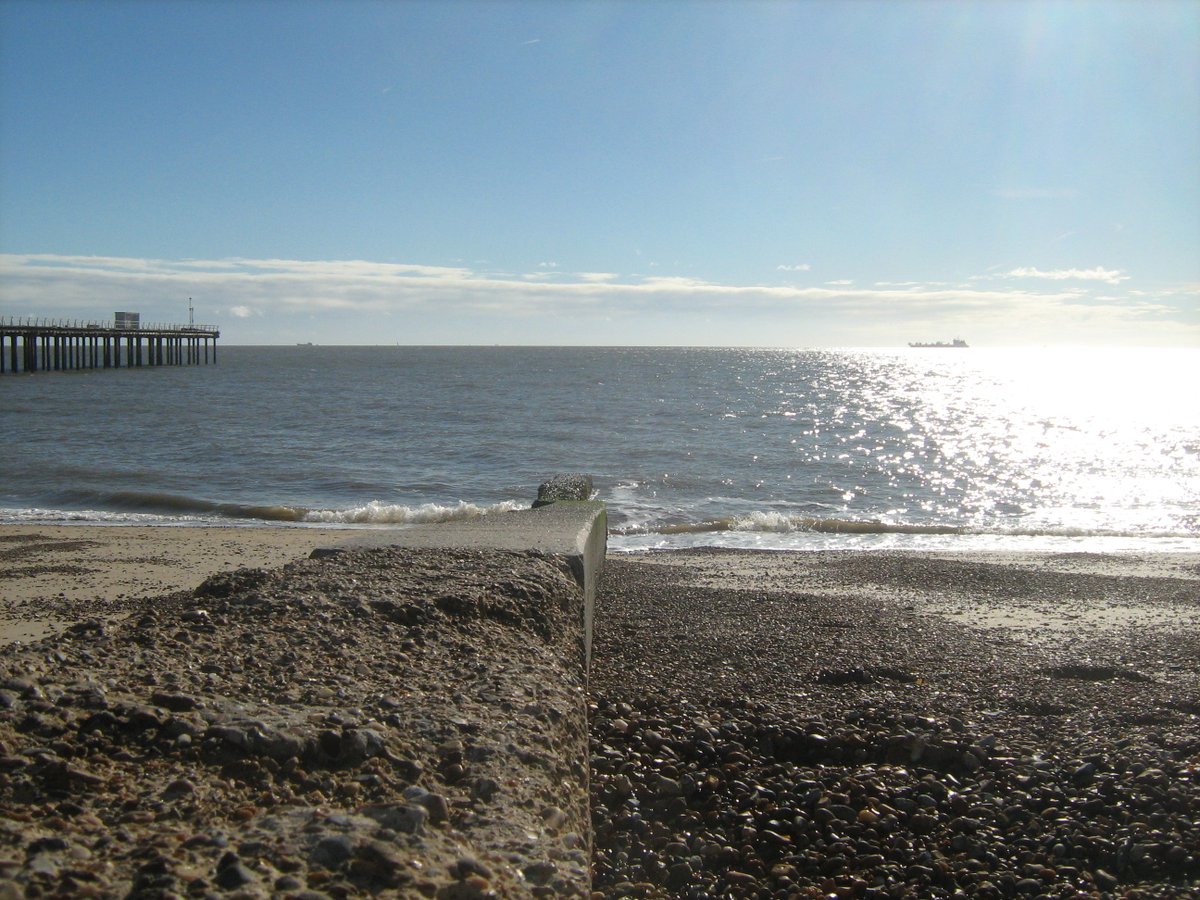 jonnyald's tweet photo. down at Felixstowe beach #sunny #greattimes #warmsea #swimmer #suffolk #coast #shipworm #driftwood #artprojects https://t.co/FjBYwh2o8g