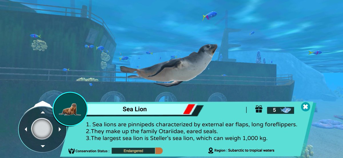Virtualdivers's tweet photo. The specialty of VDI is ocean care and marine life.
Discover the underwater world and its amazing diversity of marine life!

#marinelife #underwaterworld #virtualreality #oceanworld #mobilegaming #sealion #oceancare #metaverse #VR #vrworld #vdi #virtualdiving #scubadiving https://t.co/q6HAlRQgKS