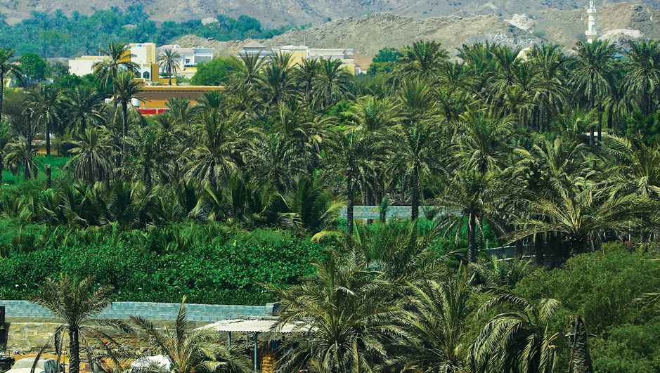 natureabudhabi's tweet photo. Green Fujairah.
#Mangrove #Nature #Savemangrove #Naturephotography #Photography #Beach #Travel #Mangroveislifestyle #Naturelovers #Saltwater #Sunset #Avicenniamarina #Photooftheday #Follow #Healthy #Happiness #Beautiful #UAEnature #Seaweed #Coral #Happy https://t.co/DZsjZTWaH7