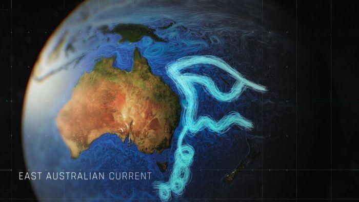 The waters in all our #oceans are circulated by ocean currents, which move heat, nutrients and key species around. Learn more in this fabulous #geography and #science collection: abc.net.au/education/aust…