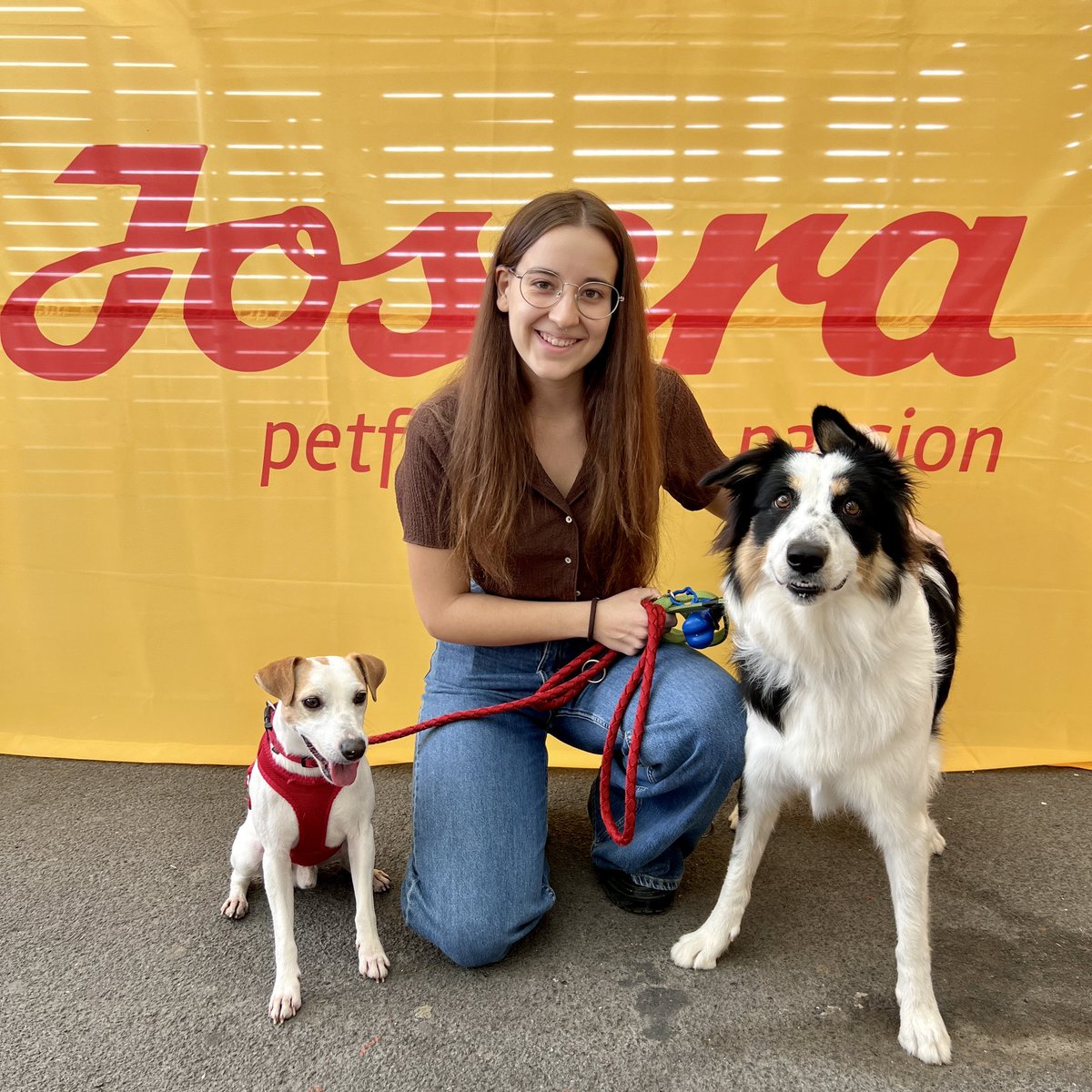 pipperontour's tweet photo. Gracias a todos los humanos y perretes que nos habéis acompañado el fin de semana en Barcelona. Nos ha encantado conoceros y compartir con vosotros nuestra aventura hacia un país más #petfriendly 😍🐕 https://t.co/9DBaRnOzQM
