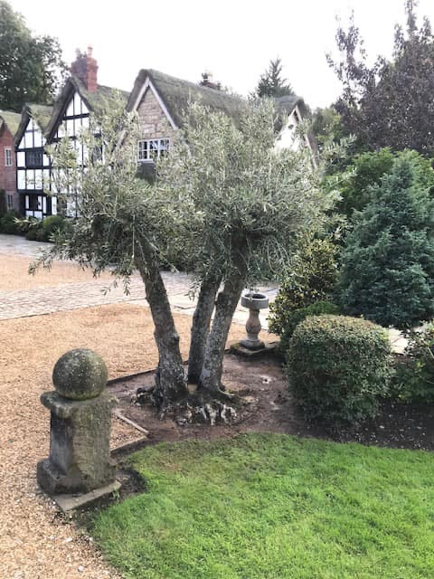 Villaggio Verde tweet media