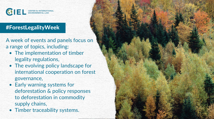 ciel_tweets's tweet photo. 🌳 This week is #ForestLegalityWeek and we’re shining a light on what to watch at the upcoming 19th Conference of the Parties of @CITES #CITESCop19 — a Convention that regulates the trade of endangered species in order to protect them.
A thread 🧵👇 https://t.co/sTiKeRiUD7