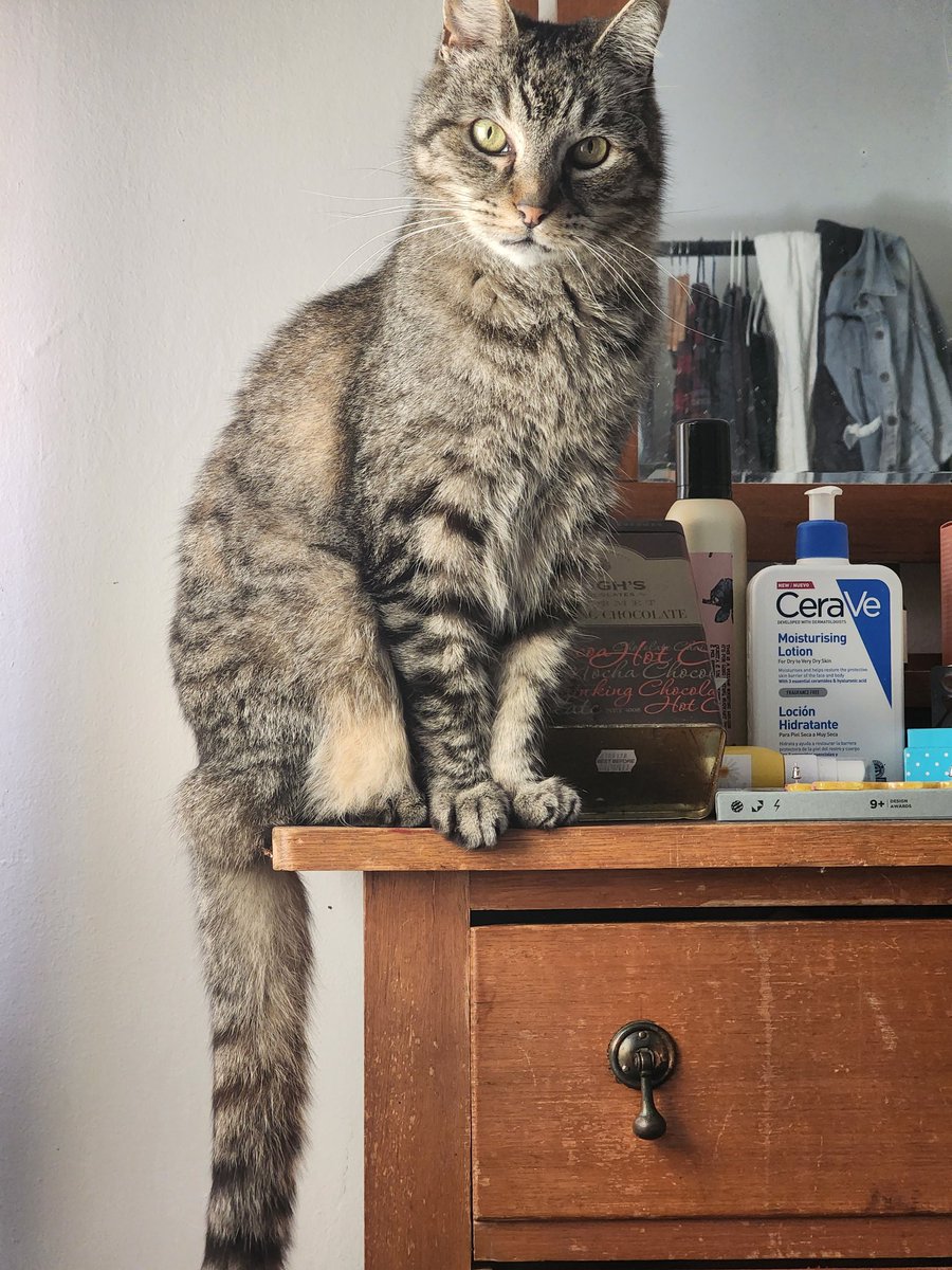 Kellie 2: Electric Boogaloo tweet media