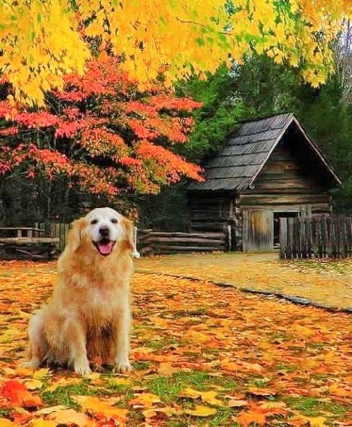 Feliz lunes y una gran semana por delante.
Happy Monday and a great week ahead 💛💚