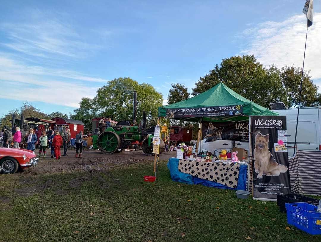 Please join me in saying a huge well done to John Philip and his dogs Max-lee &amp; Thor- for their wonderful stand at a steam rally in Staffs this weekend raising a very wonderful £105! 
Stand looks great !