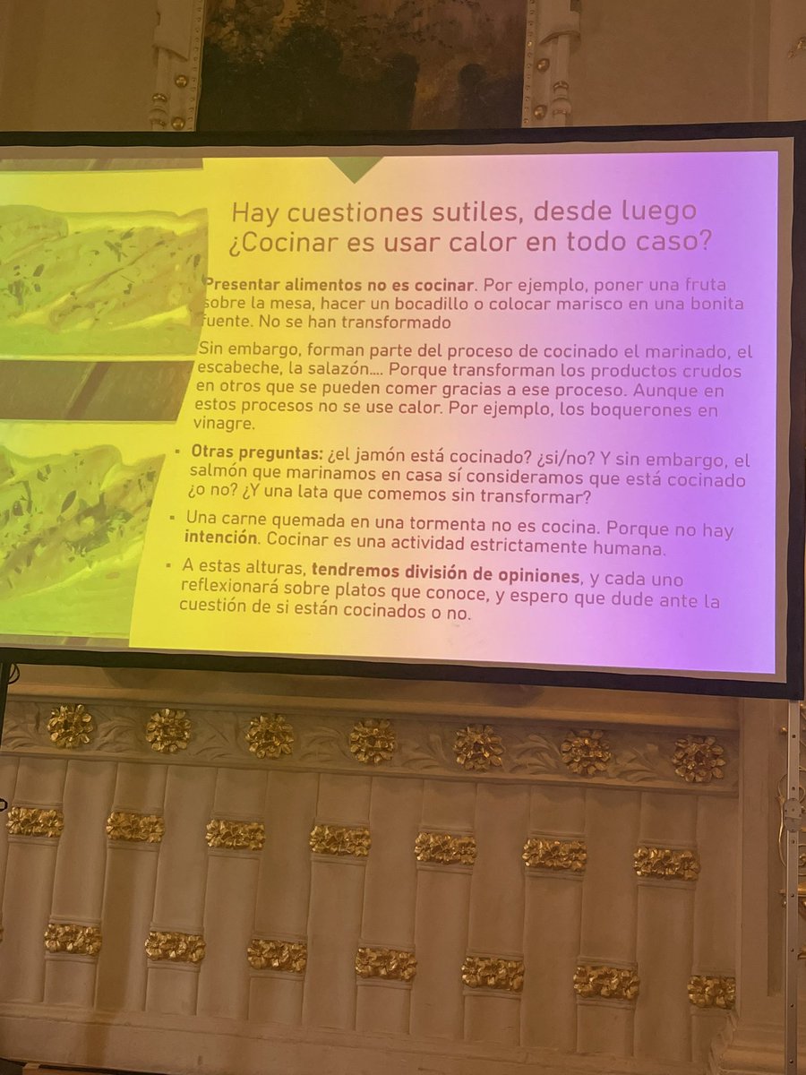 Javier Suárez “Gastro” tweet media