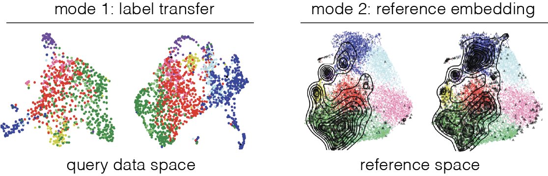 If you like UCell and scGate #RStats packages for #scRNA-seq analysis, you might find useful ProjecTILs, now easier to use:

Mode 1: just for label transfer, faster, doesn't alter your dimensionality reduction 

ProjecTILs.classifier(query = query_object, ref = reference_map)