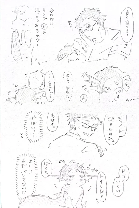 リング泥棒 ポンデ稚魚トレジェイ🍩🐟✨✨ 
