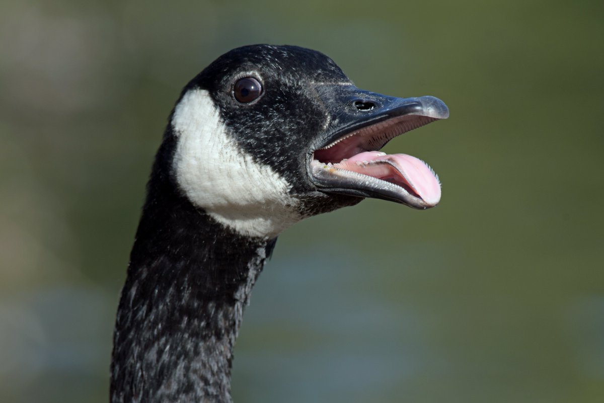 Simon Arron 🇪🇺 tweet media