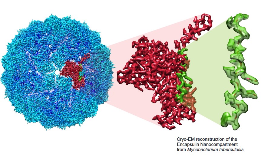 African Synchrotron (@afsynchrotron) on Twitter photo Call for Expressions of Interest: Training in Cryo-EM for Southern Africa
Successful applicants will be invited to spend 2 weeks in the <a href="/UCT_Research/">UCT Research</a> Electron Microscope Unit (emu.uct.ac.za) with all experimental costs covered.
More info --> emu.uct.ac.za/cryo-em-southe… Call for Expressions of Interest: Training in Cryo-EM for Southern Africa
Successful applicants will be invited to spend 2 weeks in the <a href="/UCT_Research/">UCT Research</a> Electron Microscope Unit (emu.uct.ac.za) with all experimental costs covered.
More info --> emu.uct.ac.za/cryo-em-southe…