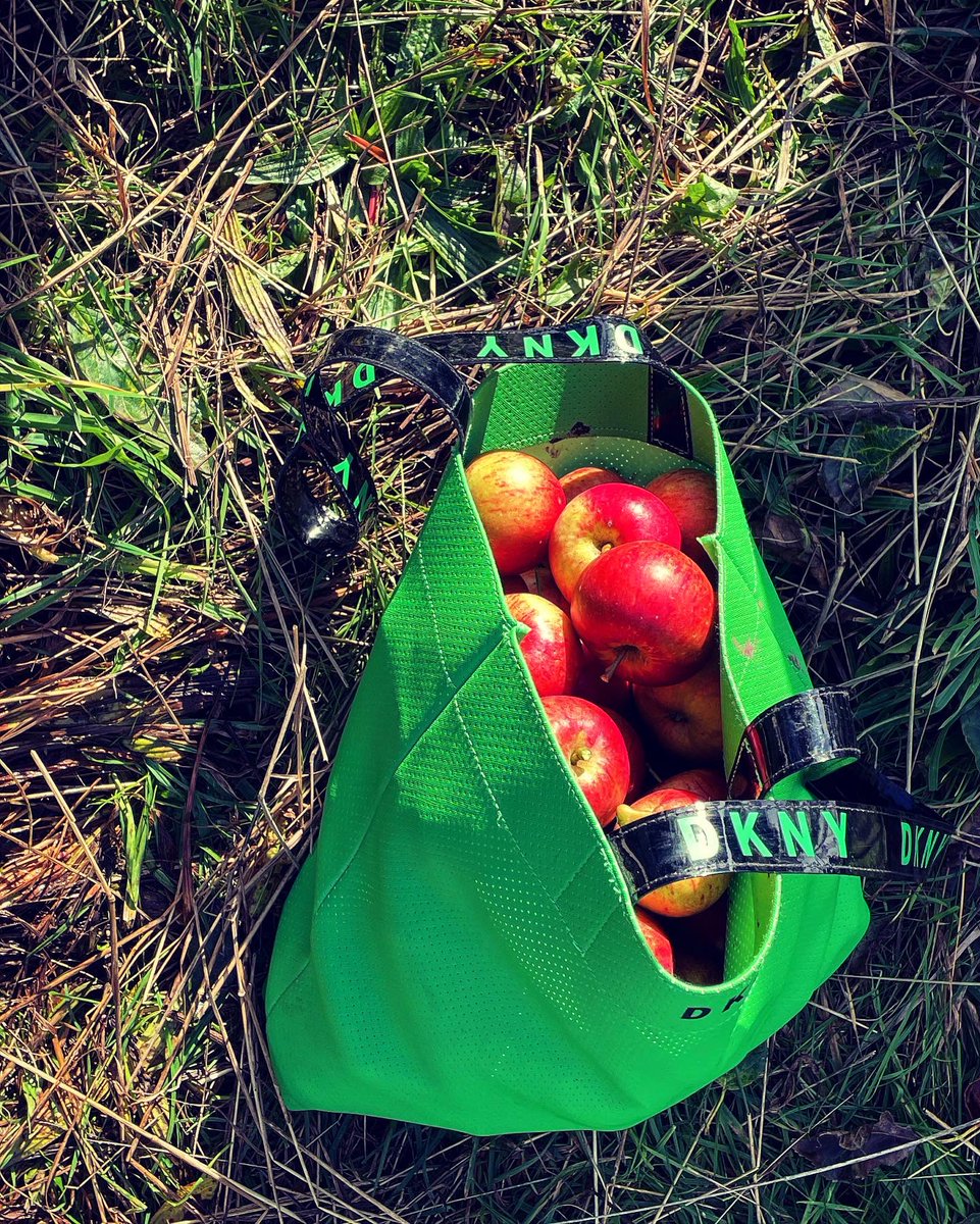 julia_perez08's tweet photo. A fantastic Sunday picking, pressing, drinking and eating all things apple with our DWF family! @DWF_Law @DWF_Foundation #therandomapplecompany #familyday https://t.co/mKjhJQlrt5