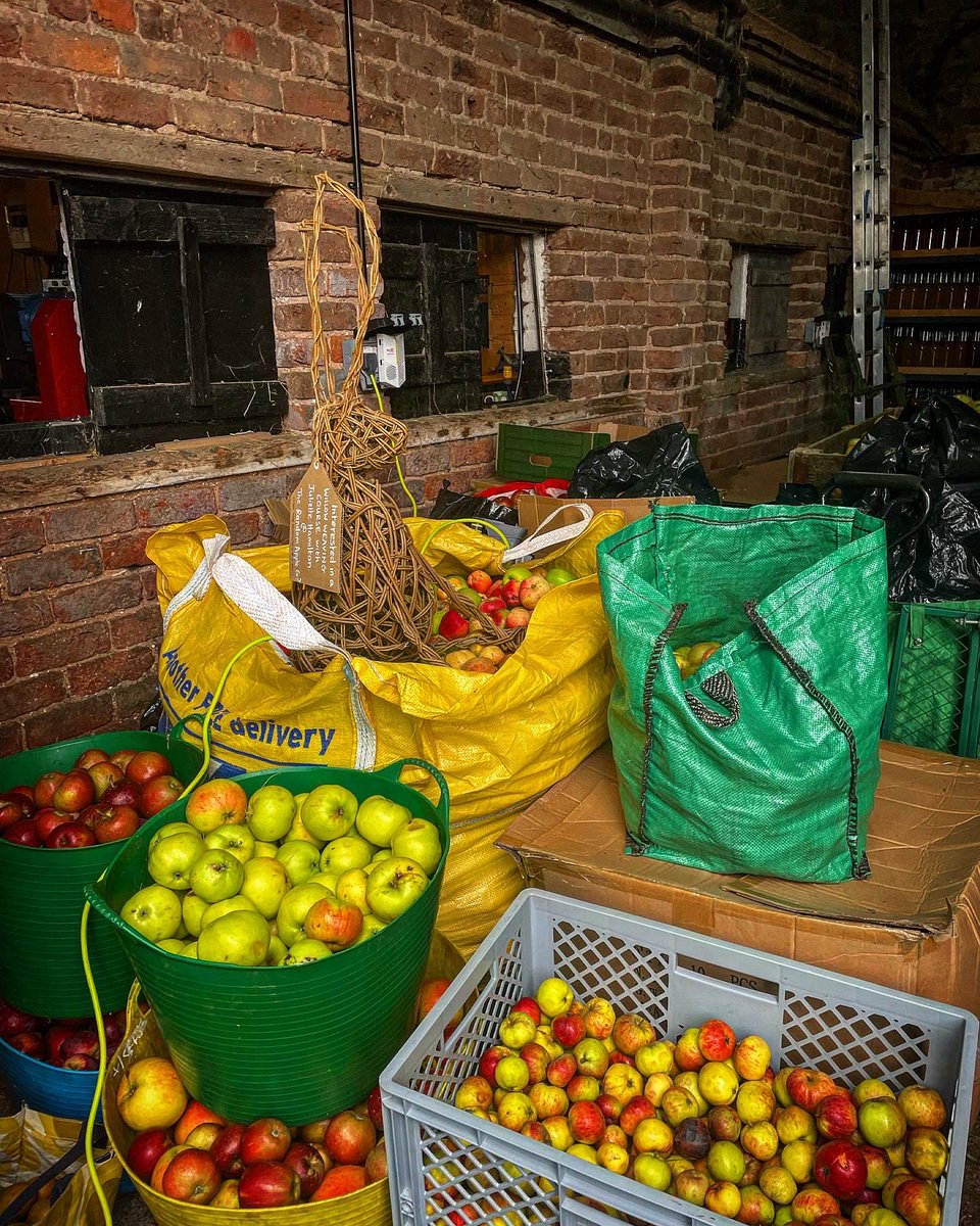 julia_perez08's tweet photo. A fantastic Sunday picking, pressing, drinking and eating all things apple with our DWF family! @DWF_Law @DWF_Foundation #therandomapplecompany #familyday https://t.co/mKjhJQlrt5