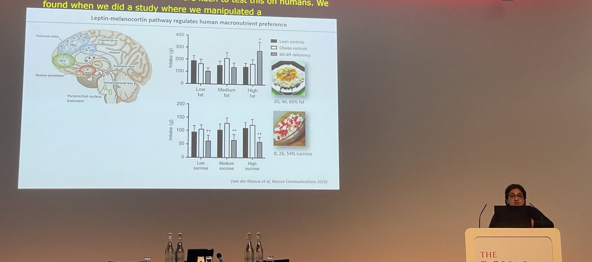 BrownAdey's tweet photo. Fantastic talk by @Farooqi_Lab on genetics of #obesity & #thinness. Take home for me is that MC4R gene mutations impacts food preference for high fat food & lower liking for high sucrose foods #RScausesobesity @royalsociety https://t.co/qM2XYYiRdz