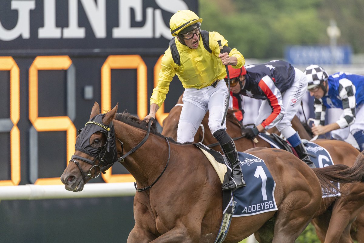 TomMarquand's tweet photo. Thanks for the memories big Champ 💛🖤
An essay wouldn’t be able to do him justice, but to bow out with his head in front yesterday at Longchamp was the most special way to end an incredible globe trotting career for Addeybb 💛🖤⚔️🏆 https://t.co/6tFnq0IRiu