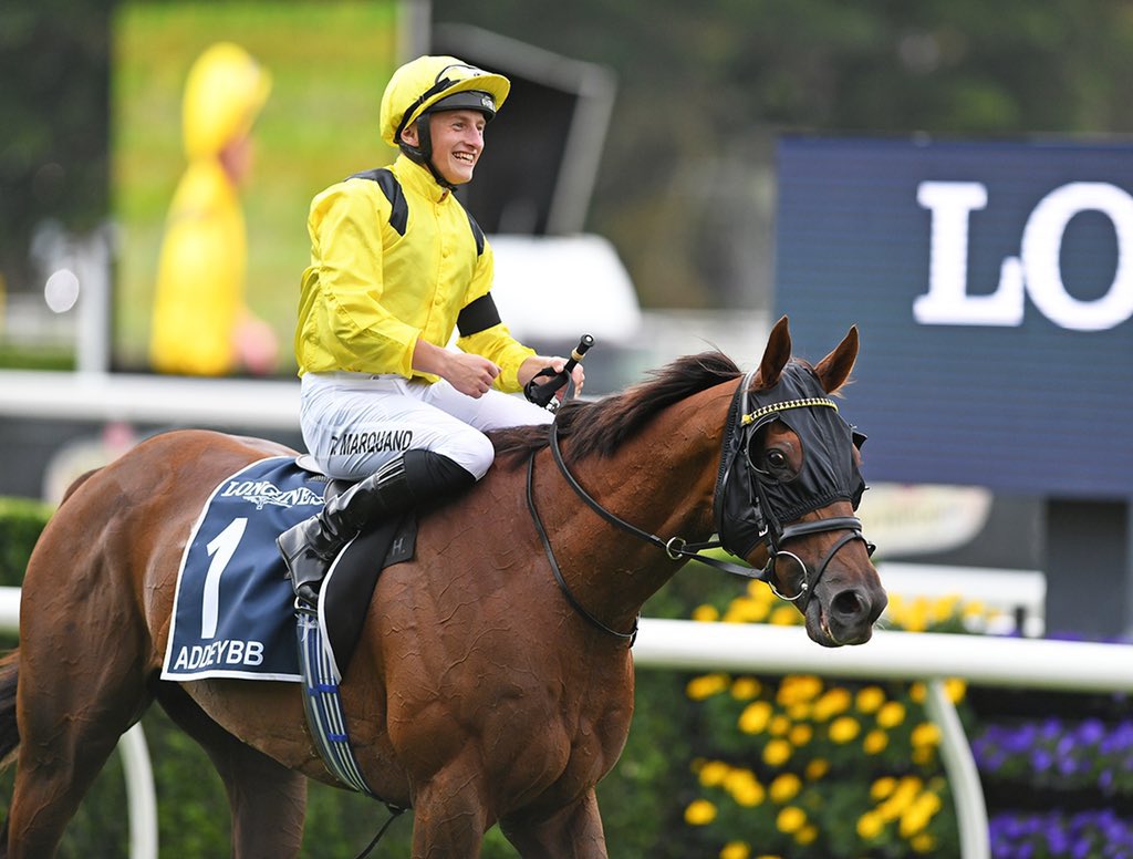 TomMarquand's tweet photo. Thanks for the memories big Champ 💛🖤
An essay wouldn’t be able to do him justice, but to bow out with his head in front yesterday at Longchamp was the most special way to end an incredible globe trotting career for Addeybb 💛🖤⚔️🏆 https://t.co/6tFnq0IRiu