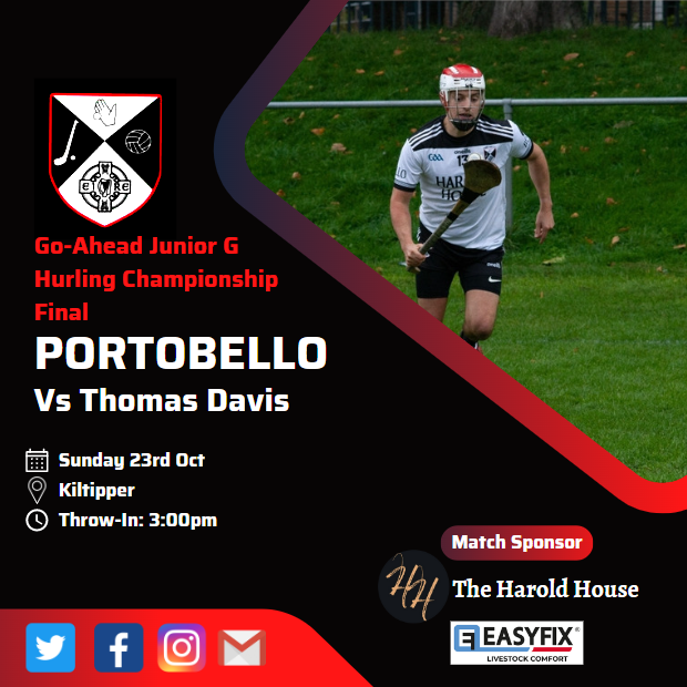Next Sunday our hurlers will take on Thomas Davis in the Junior G Hurling championship final. Having won the Junior H title last year, captain Tansey and his men will be hoping to repeat the heroics of 2021. 

3pm in Kiltipper. Get out the hats, scarves and headbands!