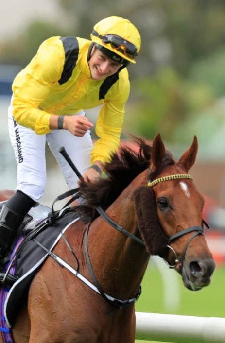 TomMarquand's tweet photo. Winning 13 races from 28 runs in 4 countries, with 4 Group 1’s between 🇦🇺and🇬🇧 and over £3.6m prize money, there’ll be no other horse like you 👑 
Well done to everyone at Somerville Lodge for managing such a wonderful horse, especially to @safidalam2 for looking after him 🏆 https://t.co/dHYn2fHHJp