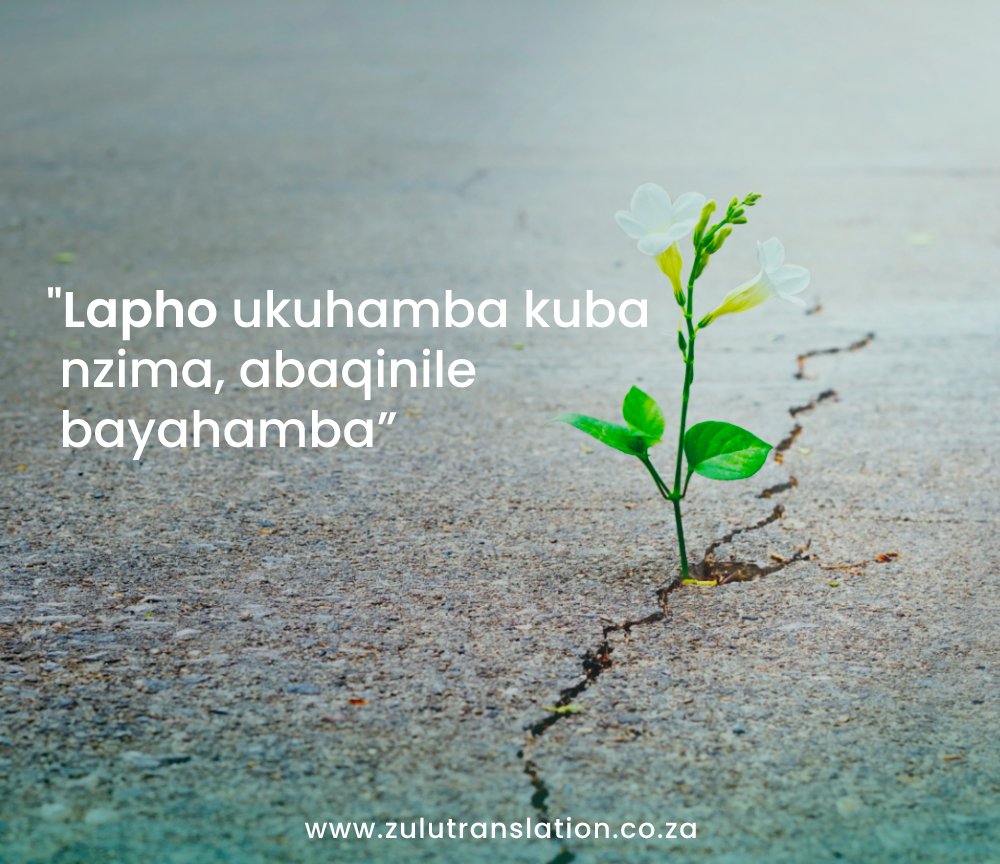 ZuluTranslationSA on Twitter "A motivation for you this Monday, to