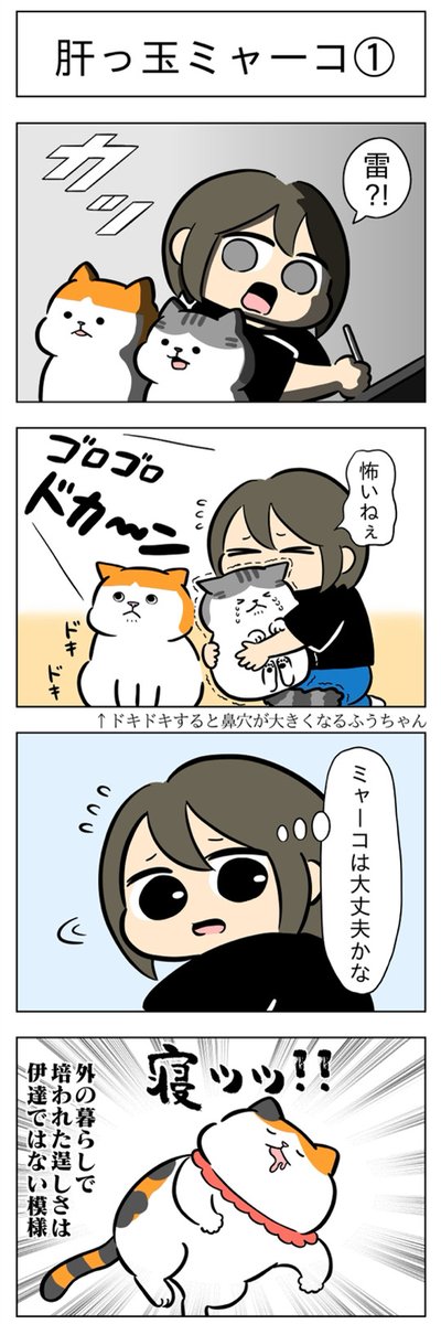 肝っ玉ミャーコ①②│フェリシモ猫部 https://t.co/ZHYxUuHRCP 