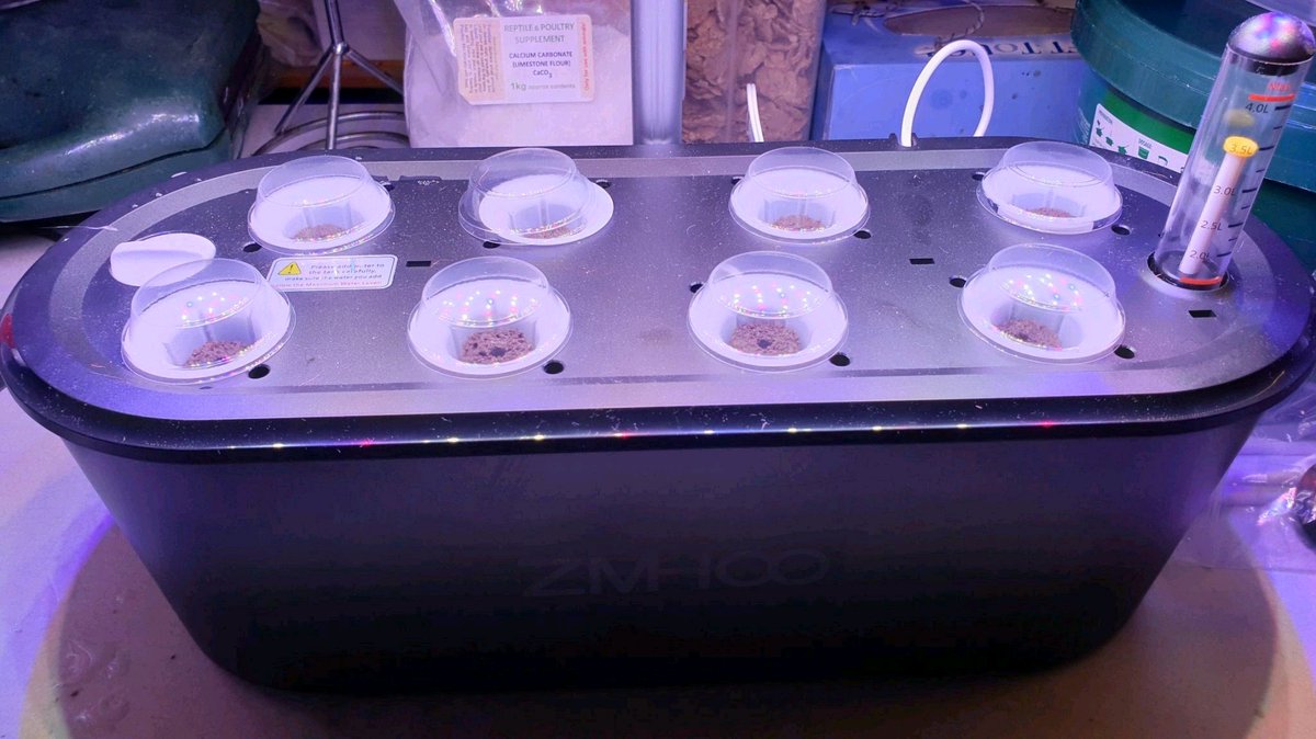 NodeSystems's tweet photo. #Geeky Monday enjoy... #Hydroponics #food growing machine | #Prepper #FoodComputer
Hydroponics update, front row #Tomatoes no growth over 100 days, rear row two #Chili's, the first thing I have grown.
#e5 #London #UK 🇬🇧 #Linkedin #Innovation #Technology #FoodShortage https://t.co/jLa0BxLpzB