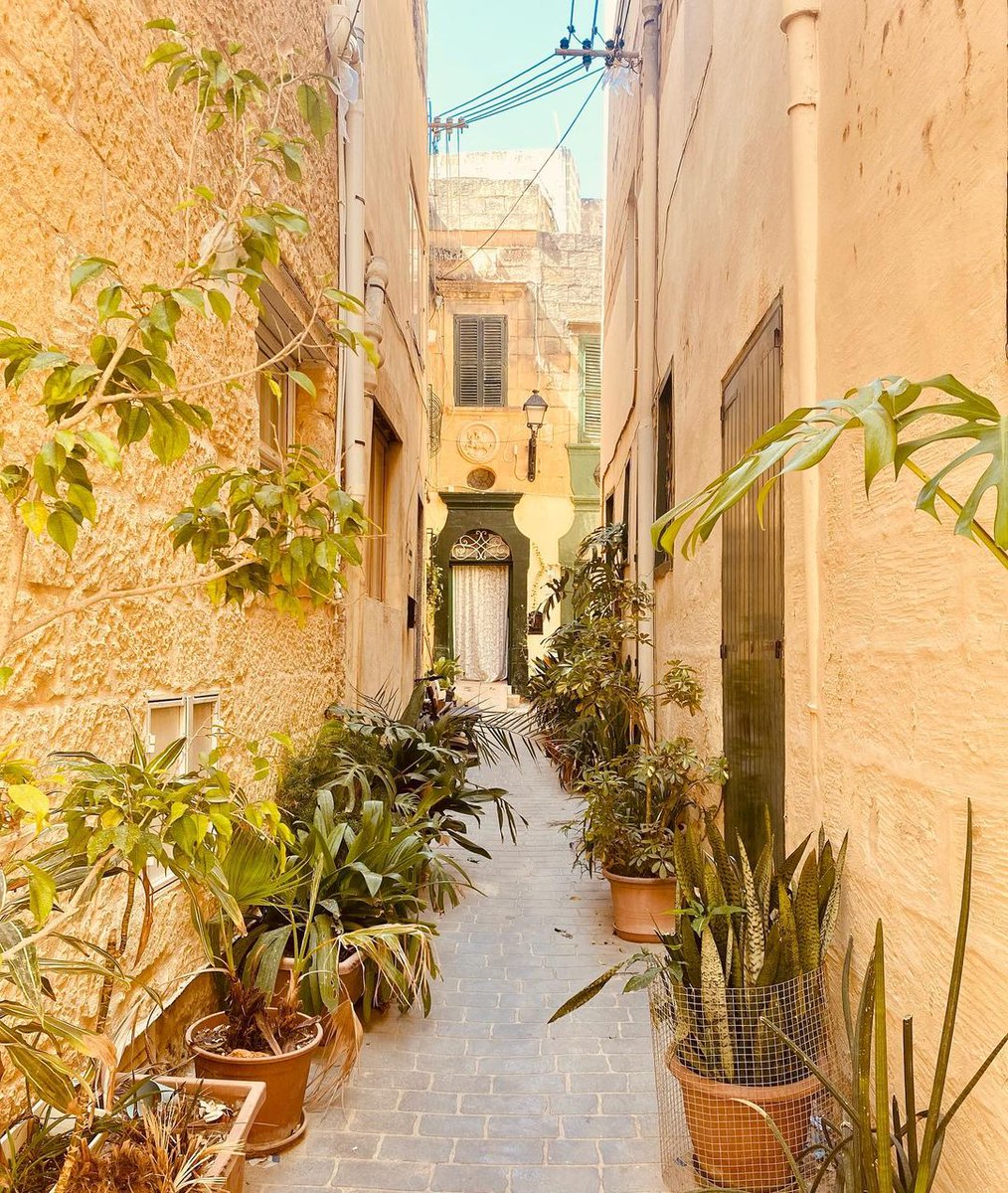 The quaint streets and houses are iconic of the capital city of Gozo, Victoria 🪴 Photo 📸: mathieuklimenko on instagram.com/p/CjKS0DBM4Gw To learn more about Gozo, visit: visitgozo.com #Gozo #Malta #VisitGozo #Travel #Quaint #Street #House